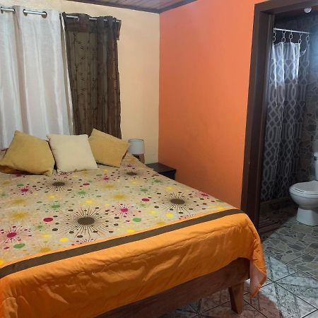 Monteverde Monkey Hostel Экстерьер фото