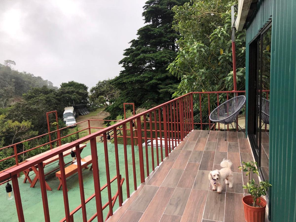 Monteverde Monkey Hostel Экстерьер фото