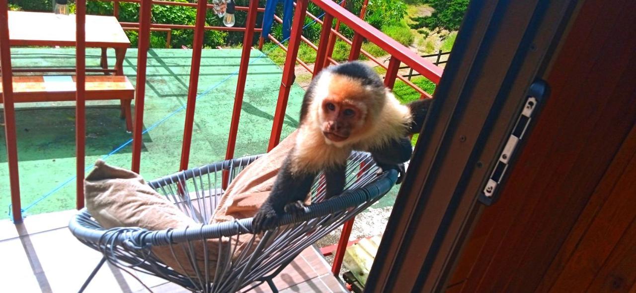 Monteverde Monkey Hostel Экстерьер фото